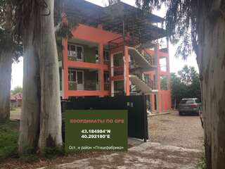 Гостевой дом Гостевой дом Гринвуд Пицунда-0